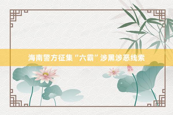 海南警方征集“六霸”涉黑涉恶线索