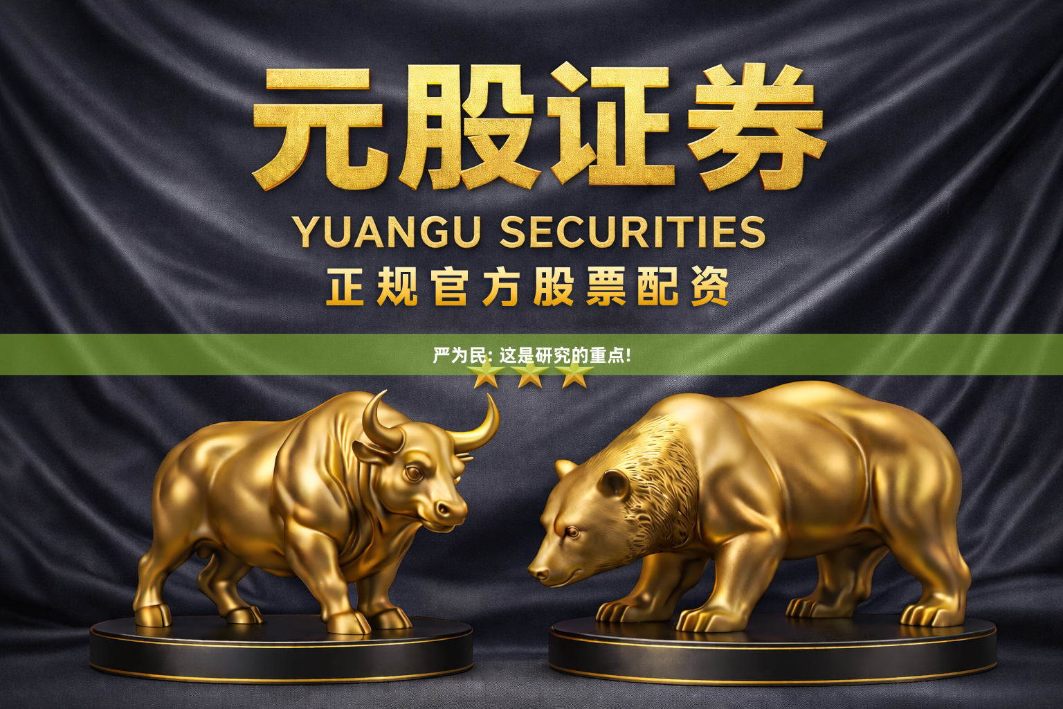 严为民: 这是研究的重点!