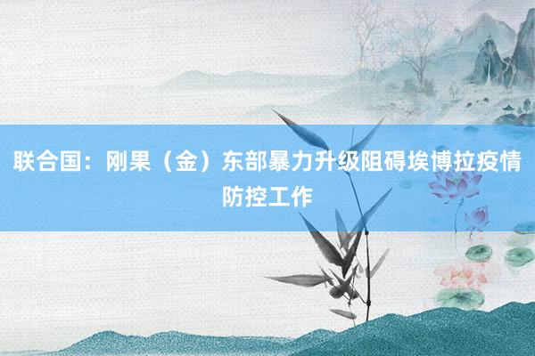 联合国：刚果（金）东部暴力升级阻碍埃博拉疫情防控工作