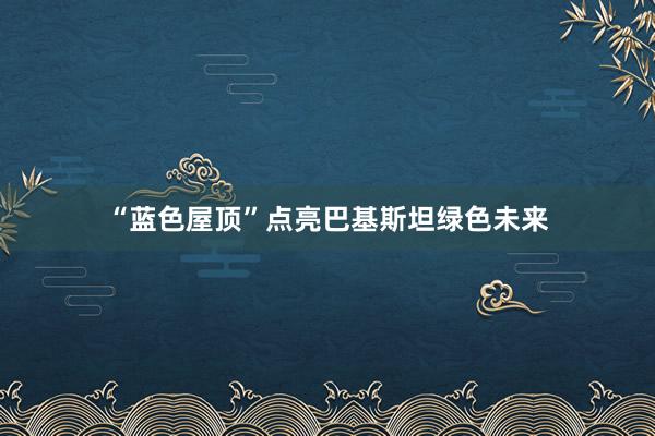 “蓝色屋顶”点亮巴基斯坦绿色未来