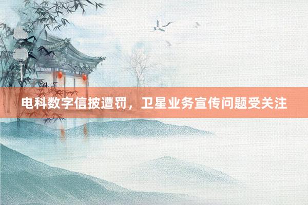 电科数字信披遭罚，卫星业务宣传问题受关注