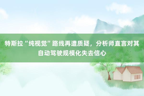 特斯拉“纯视觉”路线再遭质疑，分析师直言对其自动驾驶规模化失去信心