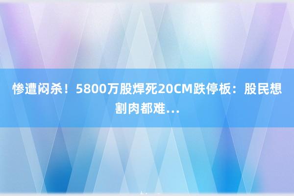 惨遭闷杀！5800万股焊死20CM跌停板：股民想割肉都难…
