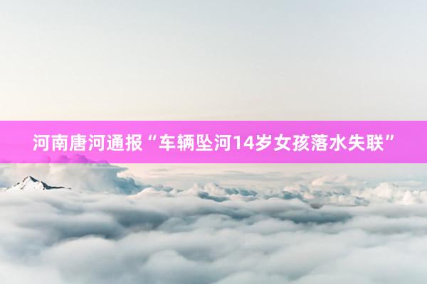 河南唐河通报“车辆坠河14岁女孩落水失联”