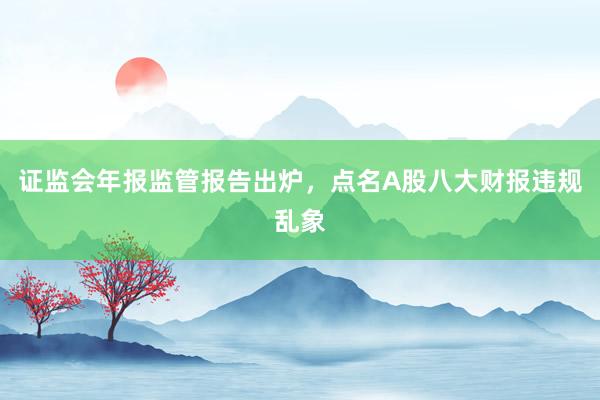 证监会年报监管报告出炉，点名A股八大财报违规乱象