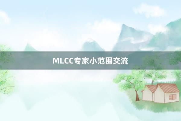 MLCC专家小范围交流