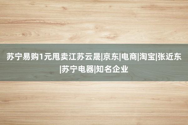 苏宁易购1元甩卖江苏云晟|京东|电商|淘宝|张近东|苏宁电器|知名企业